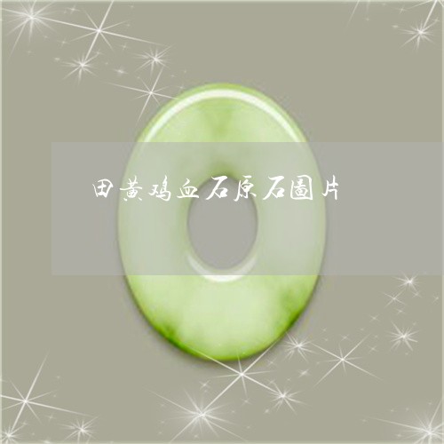 田黄鸡血石原石图片/2023041331605
