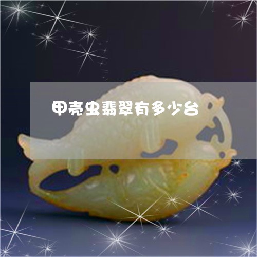 甲壳虫翡翠有多少台/2023041331724