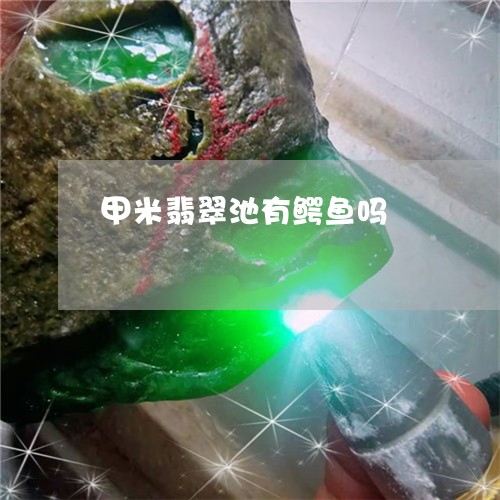 甲米翡翠池有鳄鱼吗/2023041395936 甲米翡翠池有鳄鱼吗/2023041395936