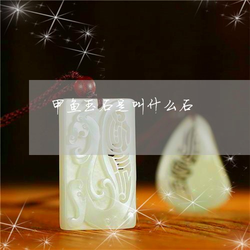 甲鱼玉石是叫什么石/2023041332694