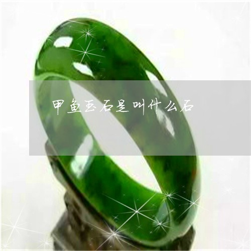 甲鱼玉石是叫什么石/2023041384724