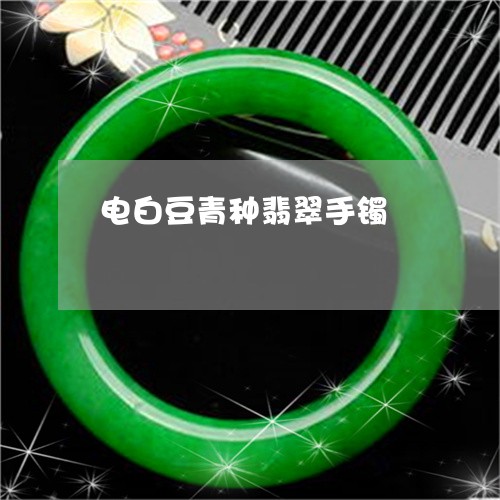 电白豆青种翡翠手镯/2023041318572 电白豆青种翡翠手镯/2023041318572