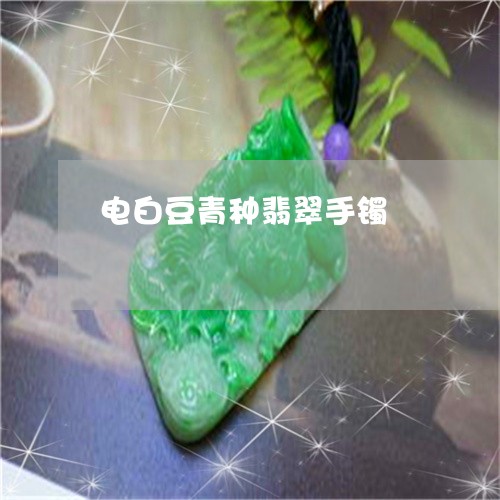 电白豆青种翡翠手镯/2023041342585 电白豆青种翡翠手镯/2023041342585