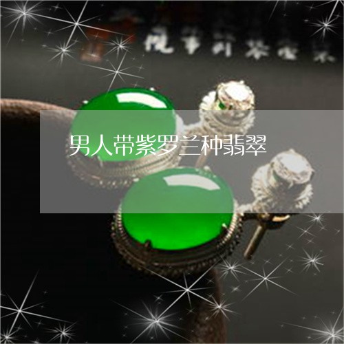 男人带紫罗兰种翡翠/2023041339351 男人带紫罗兰种翡翠/2023041339351