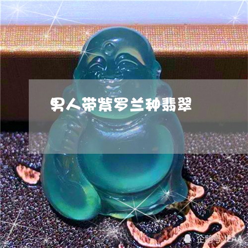 男人带紫罗兰种翡翠/2023041341614 男人带紫罗兰种翡翠/2023041341614
