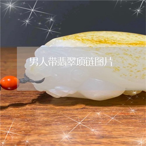 男人带翡翠项链图片/2023041341471