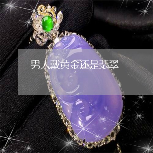 男人戴黄金还是翡翠/2023041352616 男人戴黄金还是翡翠/2023041352616