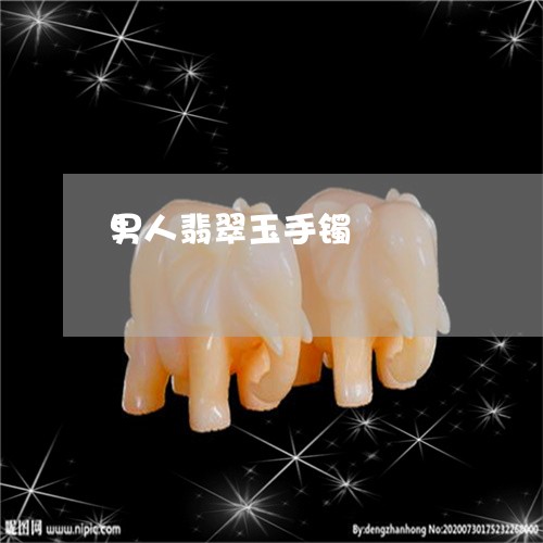 男人翡翠玉手镯/2023032964026 男人翡翠玉手镯/2023032964026