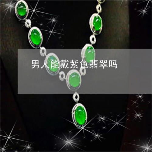 男人能戴紫色翡翠吗/2023041356472