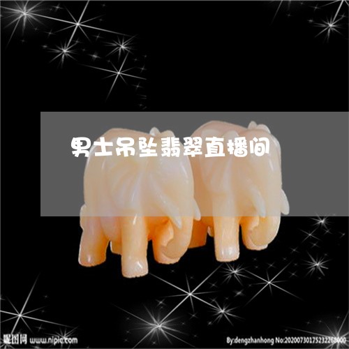 男士吊坠翡翠直播间/2023041343604 男士吊坠翡翠直播间/2023041343604
