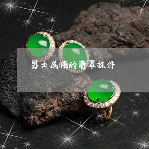 男士属猪的翡翠挂件/2023041327290