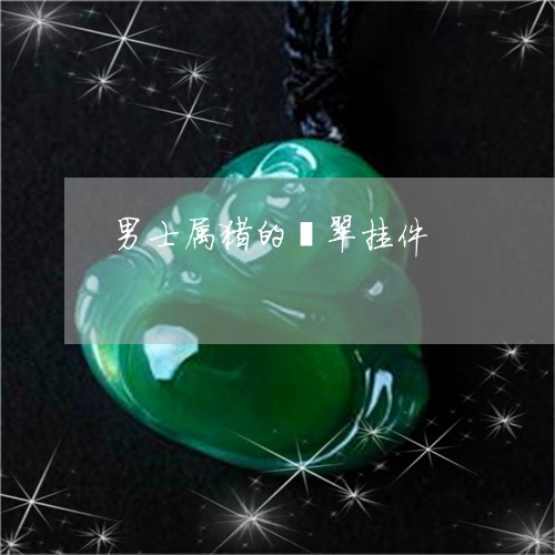 男士属猪的翡翠挂件/2023041329383