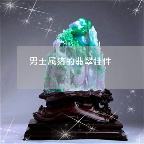 男士属猪的翡翠挂件/2023041395948