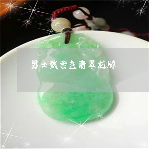 男士戴紫色翡翠龙牌/2023041341471