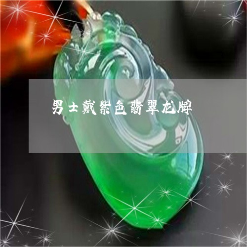 男士戴紫色翡翠龙牌/2023041394827