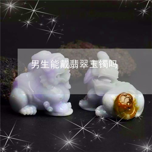 男生能戴翡翠玉镯吗/2023041307260