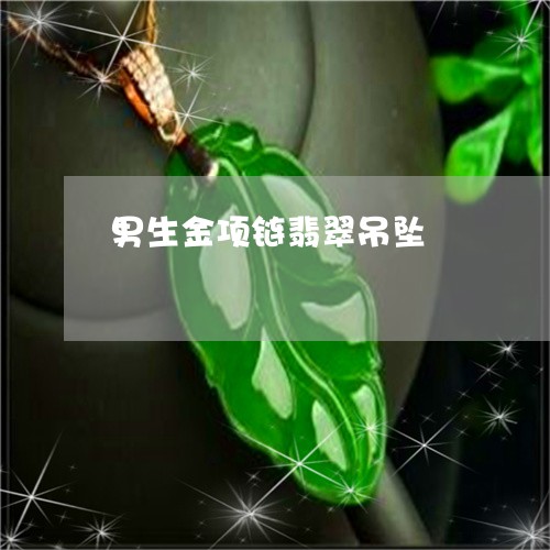 男生金项链翡翠吊坠/2023041341806