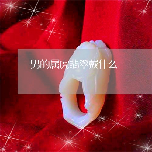 男的属虎翡翠戴什么/2023041329591
