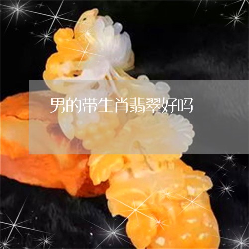 男的带生肖翡翠好吗/2023041372594