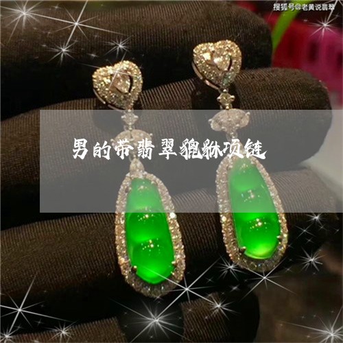 男的带翡翠貔貅项链/2023041337460