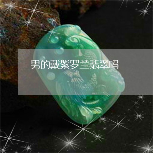 男的戴紫罗兰翡翠吗/2023041304838