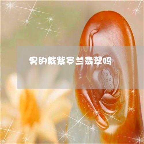 男的戴紫罗兰翡翠吗/2023041360305