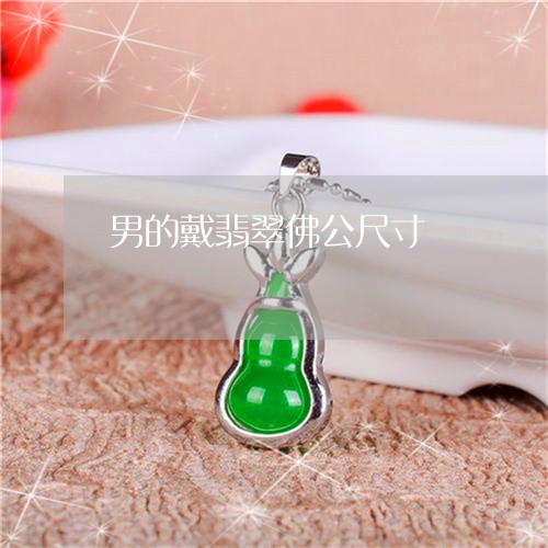 男的戴翡翠佛公尺寸/2023041395846