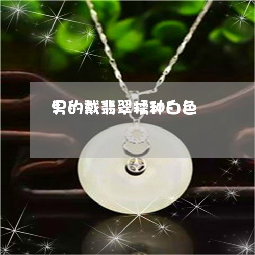 男的戴翡翠糯种白色/2023041343614