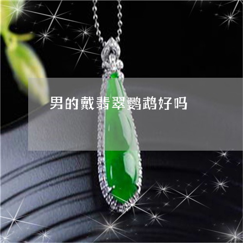 男的戴翡翠鹦鹉好吗/2023041383847