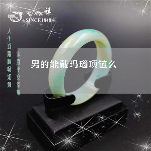男的能戴玛瑙项链么/2023041320389