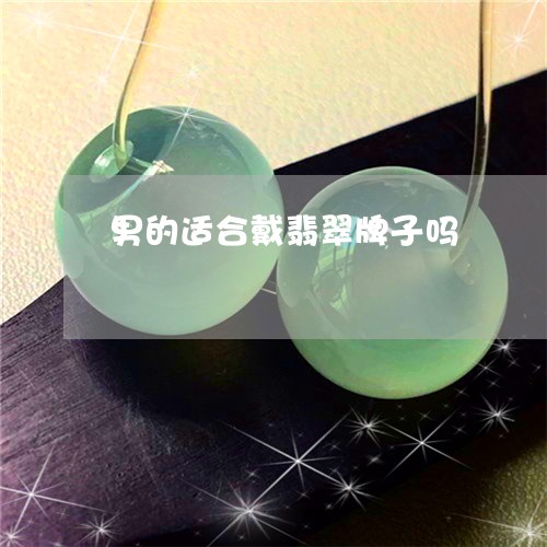 男的适合戴翡翠牌子吗/2023021674848