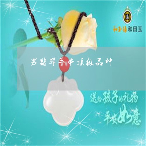 男翡翠手串顶级品种/2023041328240