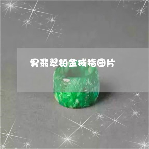 男翡翠铂金戒指图片/2023041384838