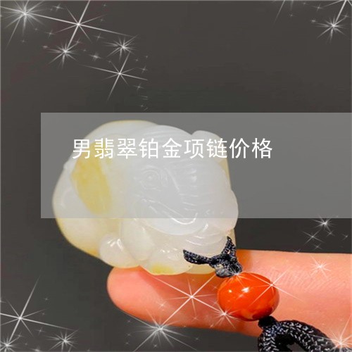 男翡翠铂金项链价格/2023041302716