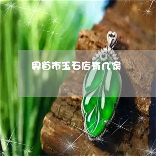 界首市玉石店有几家/2023041329158
