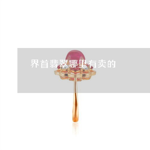 界首翡翠哪里有卖的/2023041307947