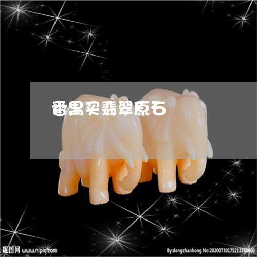 番禺买翡翠原石/2023032906049