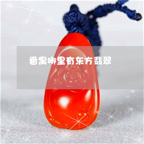 番禺哪里有东方翡翠/2023041317269