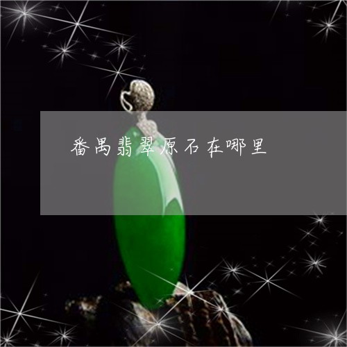 番禺翡翠原石在哪里/2023041332505
