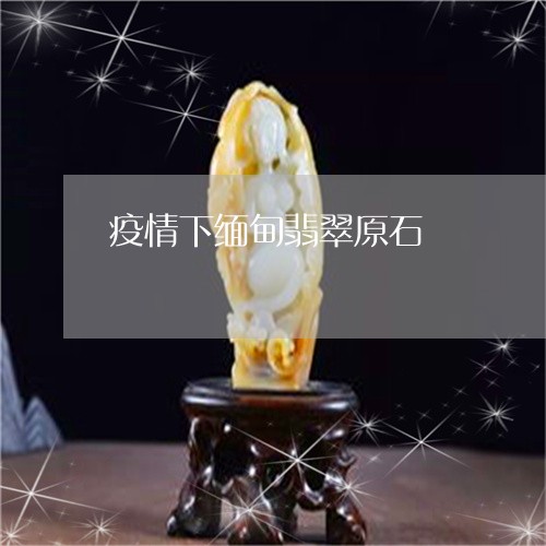疫情下缅甸翡翠原石/2023041352504 疫情下缅甸翡翠原石/2023041352504