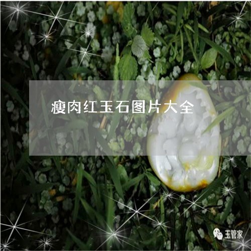 瘦肉红玉石图片大全/2023041305947