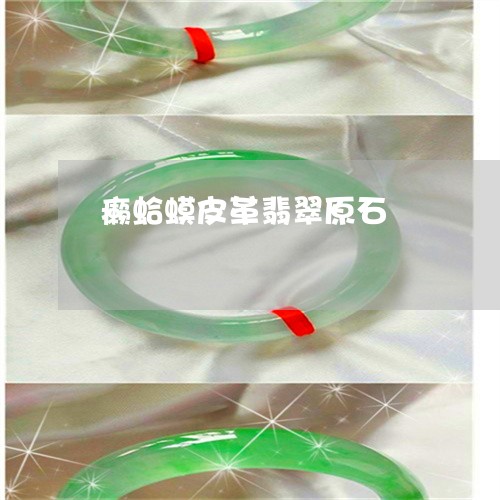 癞蛤蟆皮革翡翠原石/2023041375949