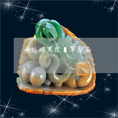 癞蛤蟆黑皮翡翠原石/2023041329158