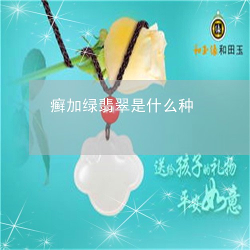 癣加绿翡翠是什么种/2023041386815