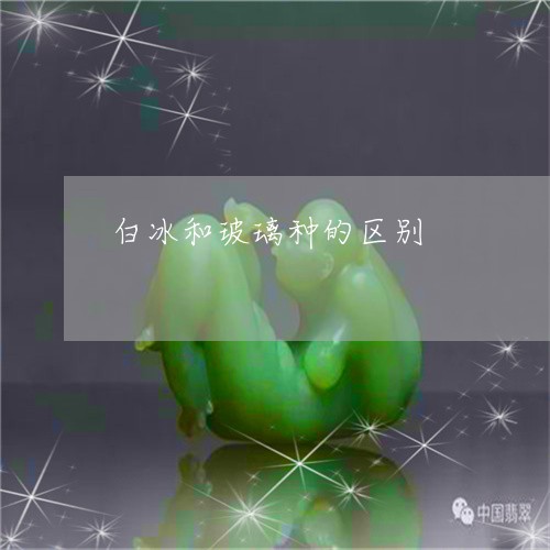 白冰和玻璃种的区别/2023041374259