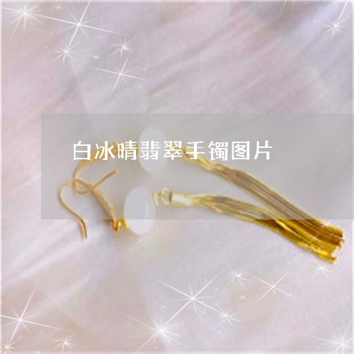 白冰晴翡翠手镯图片/2023041383692