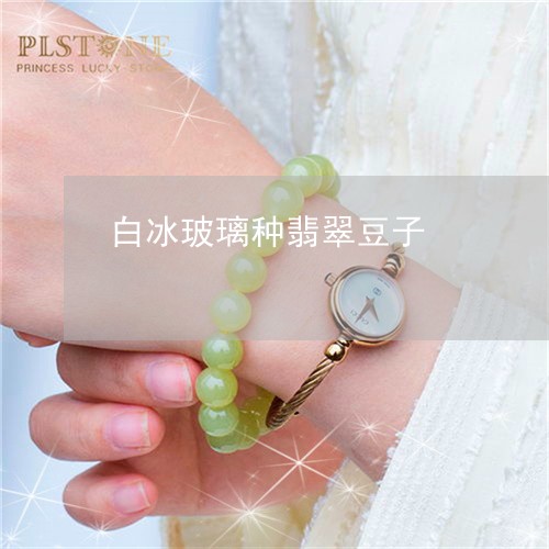白冰玻璃种翡翠豆子/2023041305830