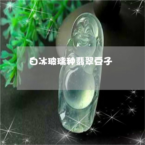 白冰玻璃种翡翠豆子/2023041318152