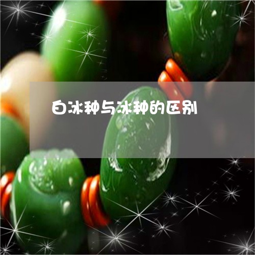 白冰种与冰种的区别/2023041328281 白冰种与冰种的区别/2023041328281