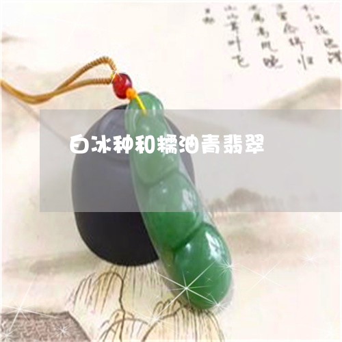 白冰种和糯油青翡翠/2023041340273